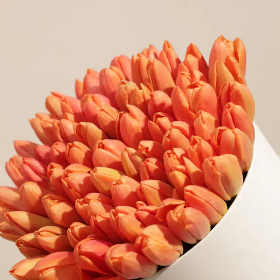 Optimistic Orange Tulip Flowers Box | 45 Flowers
