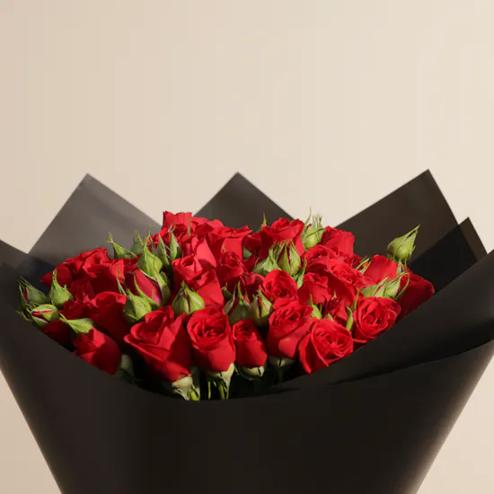 Red Velvet Bliss Baby Roses Bouquet