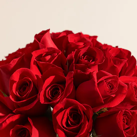 Abdul Samad Al Qurashi Qurashi Blend Royal | Blissful Red Roses Vase