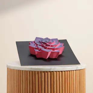 Dinara Kasko Succulent Cake