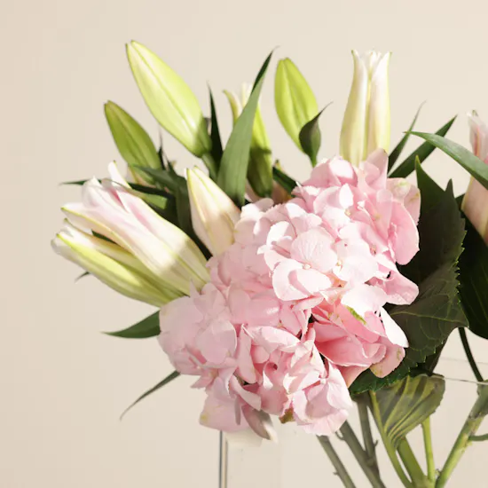 Magic of Blush Flower Vase