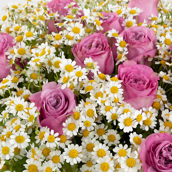 Chamomile & Rose | Khesh Wrap