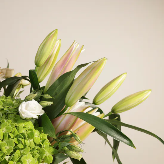 Flora Mystique Flowers Vase by September Studio