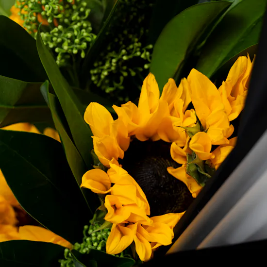 Memo Paris African Leather EDP | Sunflowers