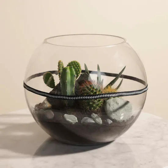 Desert Stones | Open Terrarium