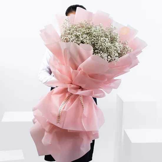 Gypso Lover | Pink Wrap
