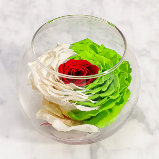 Magical Preserved Rose Vase