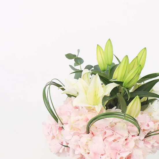 Elegant Pastels