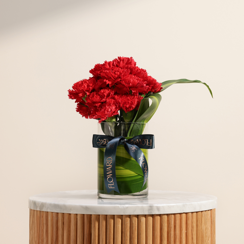 فازة زهور كارنيشن حمراء متألقة