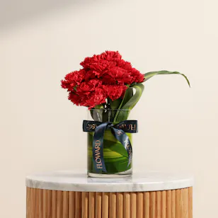 Astounding Red Carnation Vase Astounding Red Carnation Vase