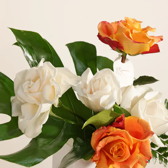 Vibrant Delight Rose Vase