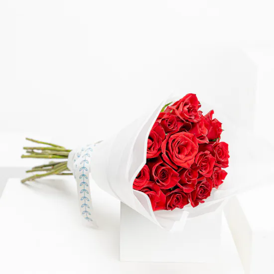Felizmoda Silver Necklace | Love Roses