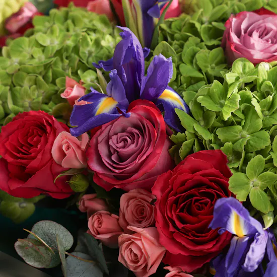 Garden of Dreams Flowers Box