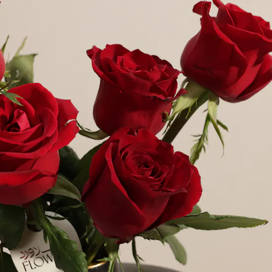 Imperial Red Rose Vase