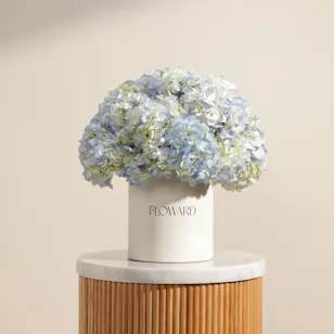 Celestial Beauty Flower Box