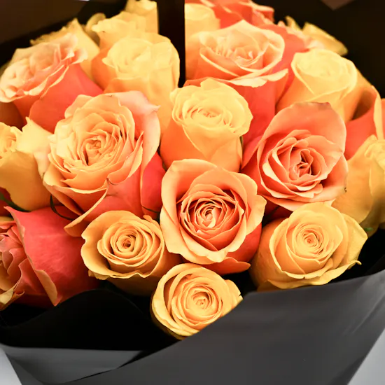Vibrant Roses | Birthday Blooms