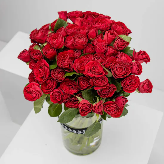 Flaming Red baby rose | Cylinder Vase