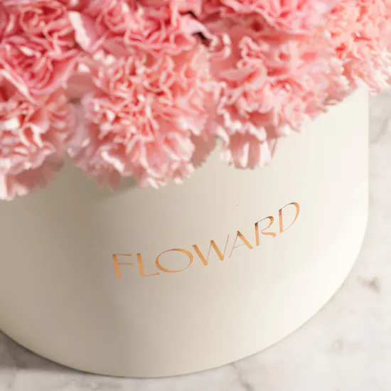 Serene Pink Carnation Box | 75 Flowers
