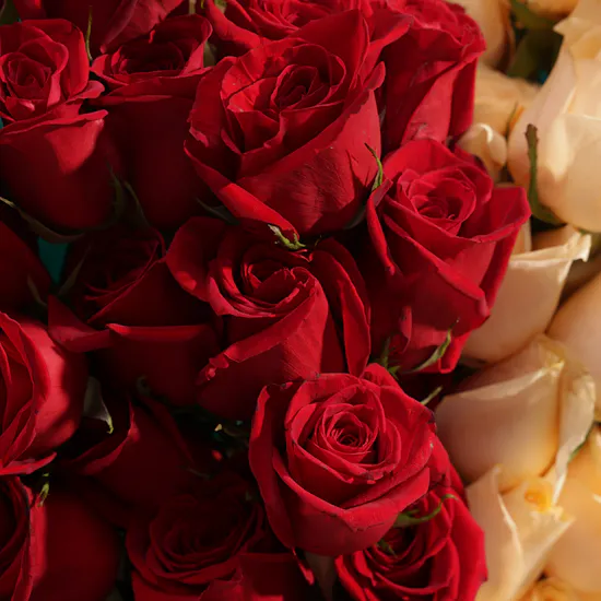 Color Embrace Flower Bouquet