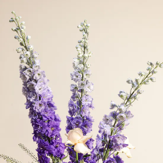 Graceful Charm Flower Vase