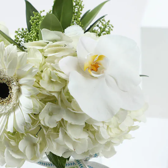 Pristine Elegance Medley