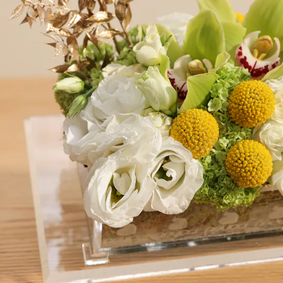 Abucci Luxury Chocolate Tray | Luxury Flowers