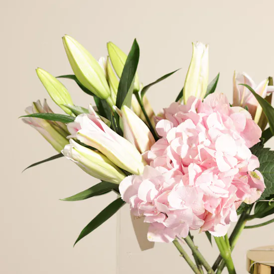 Magic of Blush Flower Vase