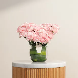 Graceful Pink Carnation Vase