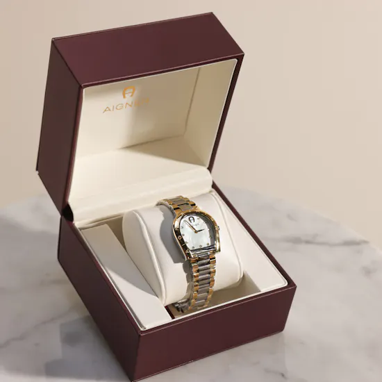 Aigner Ravenna Due Women’s Watch