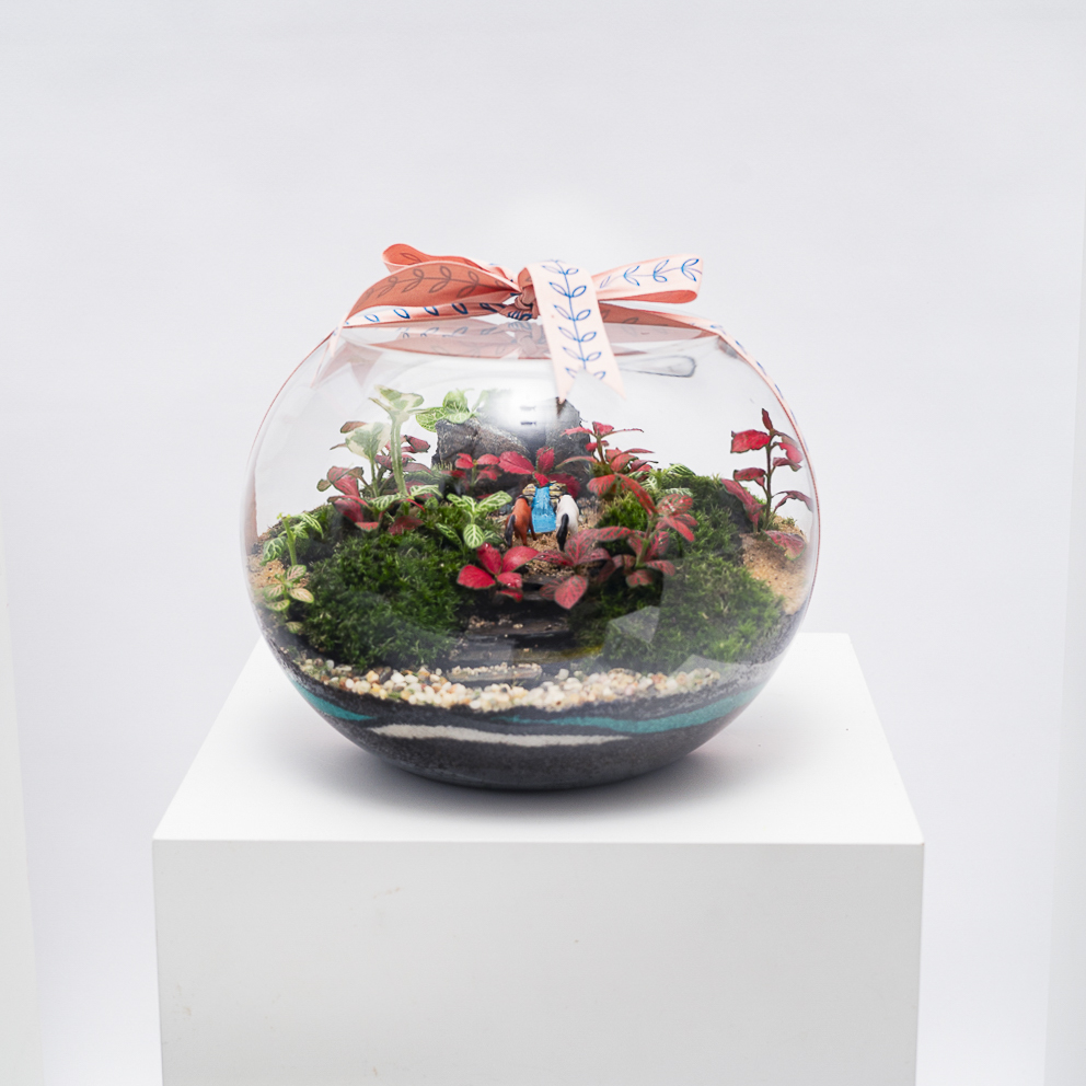 الغابة الصغيرة الخضراء | تيراريوم مغلق