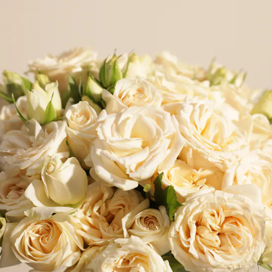 Delicate Peach Baby Roses Vase | 18 Flowers
