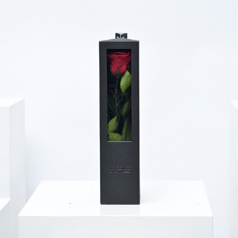 Preserved Red Rose | Black Box