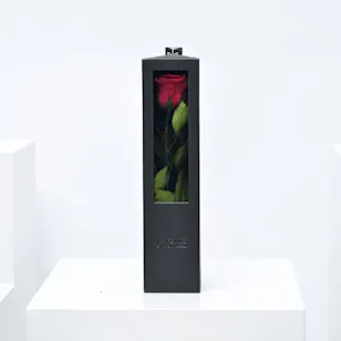 Preserved Red Rose | Black Box