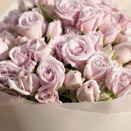 Violet Charm Bouquet | 25 Baby Roses