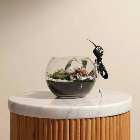 Radiant Greenery | Closed Terrarium