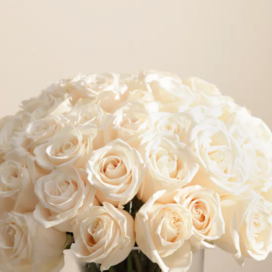 Vibrant White Roses Vase | 50 Roses