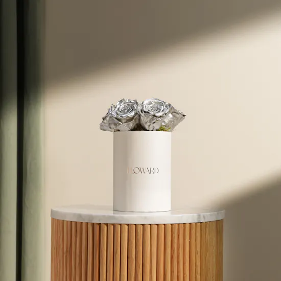 Preserved Silver Rose Box | 6 Roses