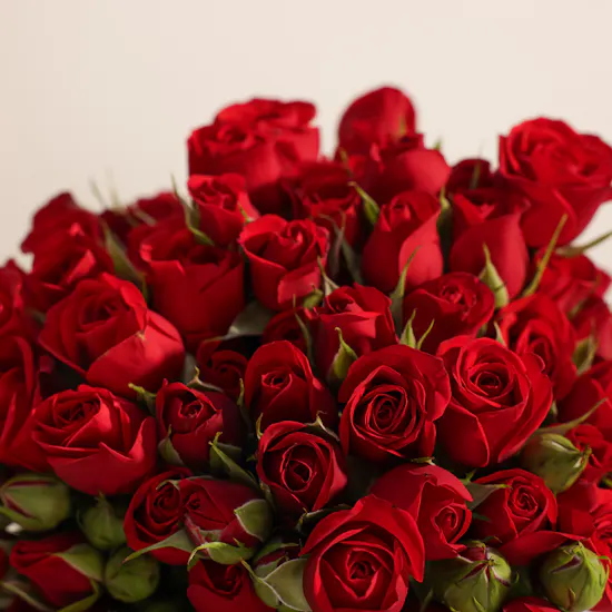 Mubkhar Unisex EDP | Charming Red Baby Roses Vase