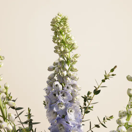 Garden Paradise Flower Vase