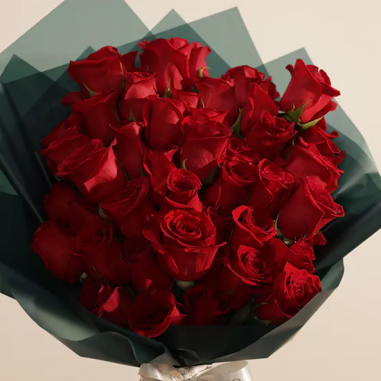 Velvet Promise Rose Bouquet | 50 Flower