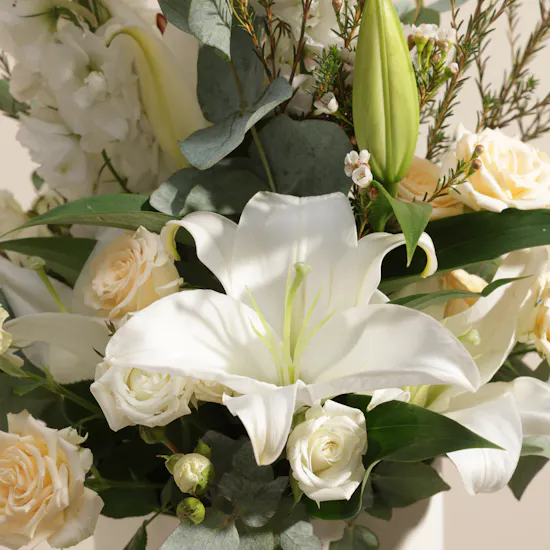 Soft Serenade Flowers Box