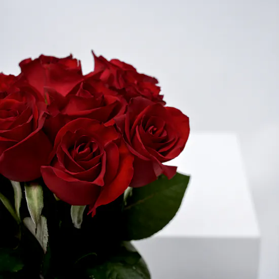 12 Red Roses | Glass Vase