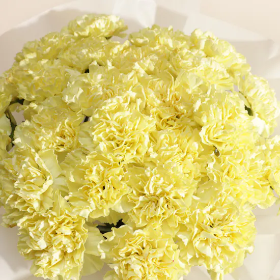 Sunny Yellow Carnation Bouquet