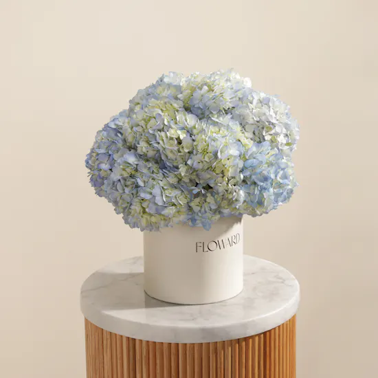 Celestial Beauty Flower Box