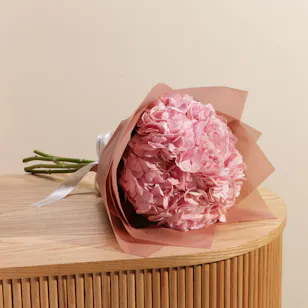 Enchanted Pink Hydrangea Bouquet