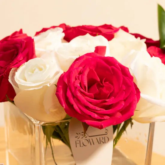 Floward Coffee Cake | Fuchsia Delight Vase