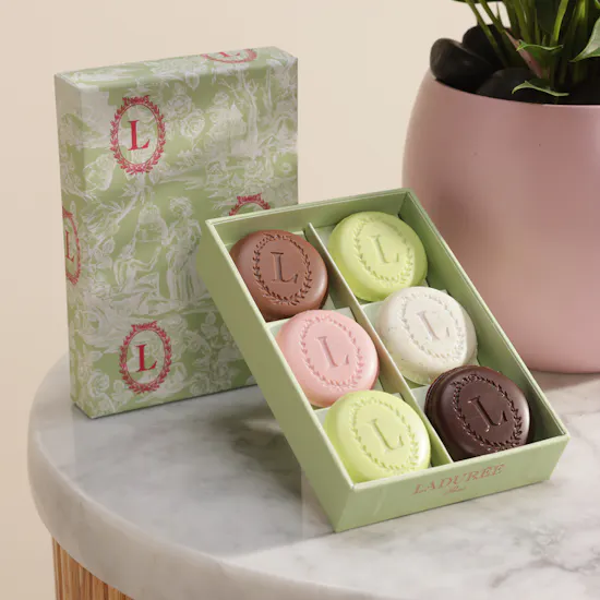 Ladurée Eugenie Box | Magical Plant Pot