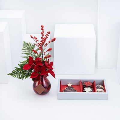 Lilac Christmas Chocolates Box | Red Pointsettia Plant