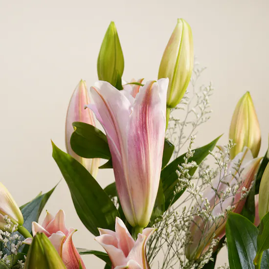 Pink Serenity Flower Vase