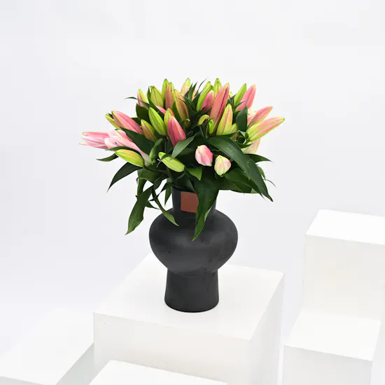 Pink Lilies | Black Vase